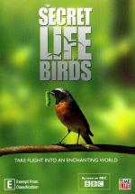 Тайная жизнь птиц — The Secret Life of Birds (2011)
