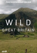 Дикая природа Великобритании — Wild Great Britain (2018)