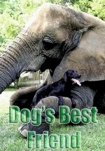 Лучшие друзья собаки — Dogs Best Friend (2014-2019) 1,2 сезоны