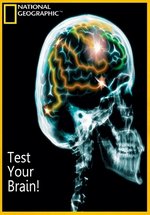 Испытайте свой мозг — Test Your Brain (2011)