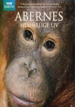 Тайная жизнь приматов — Among the Apes (2009)