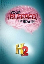 Наш удивительный мозг — Your Bleeped Up Brain (2013)