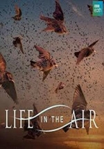 Жизнь в воздухе — Life In The Air (2016)